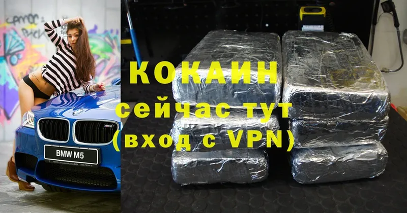 Cocaine Fish Scale  маркетплейс формула  Североуральск 