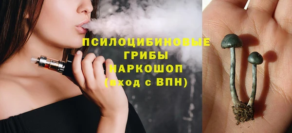 дмт Лиски