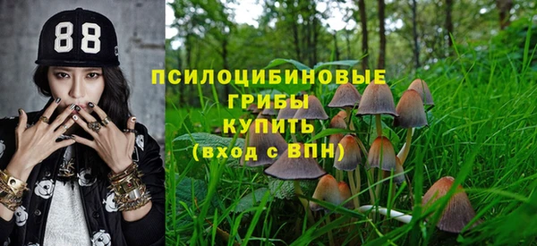 ПСИЛОЦИБИНОВЫЕ ГРИБЫ Липки