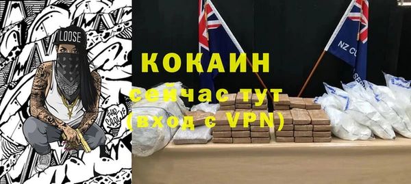 дмт Лиски