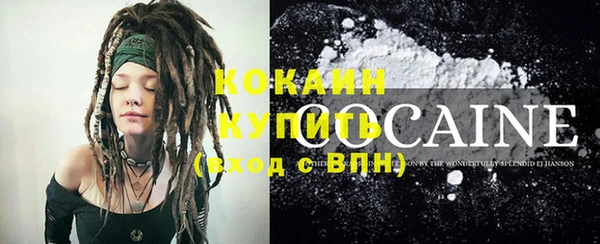 дмт Лиски