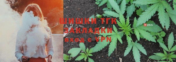 дмт Лиски