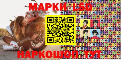 спиды Донской