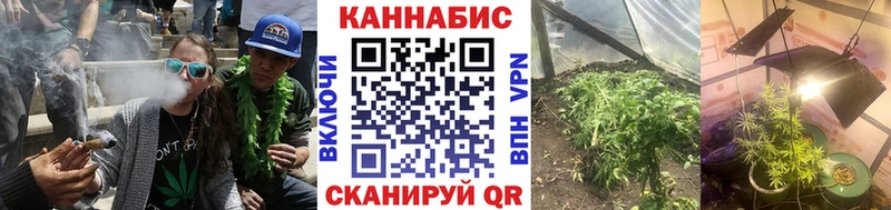 Марихуана сатива Североуральск